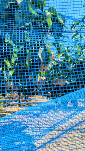 七百餘所神社 の周辺