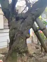 柿の木坂北野神社(東京都)