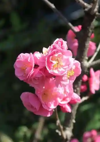 下御霊神社(京都府)