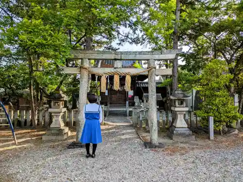 竊樹社の鳥居