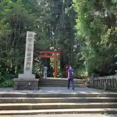 箱根神社の建物その他