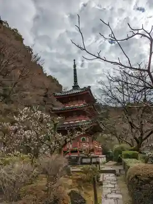 三室戸寺(京都府)
