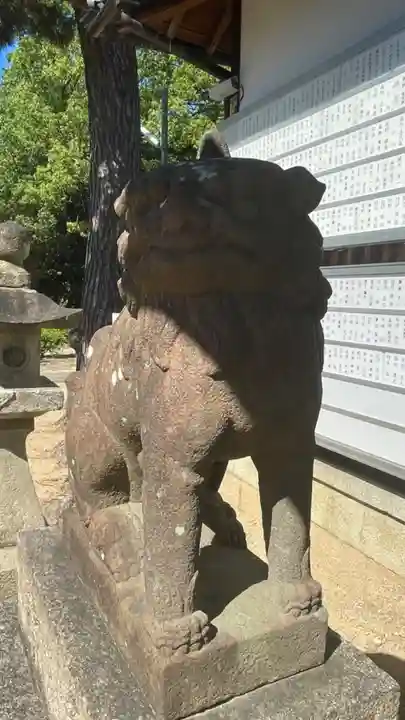住吉神社の狛犬