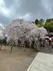 小川諏訪神社の自然