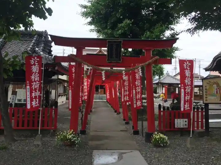 於菊稲荷神社(群馬県)