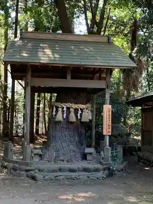 三ケ尻八幡神社(埼玉県)