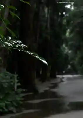 鹿島神宮(茨城県)