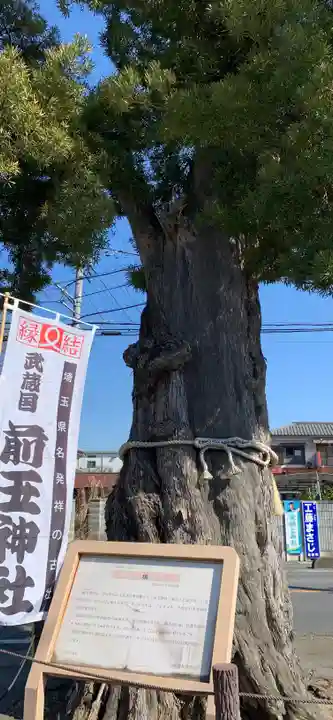 前玉神社の自然
