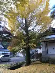 粟生寺(福井県)