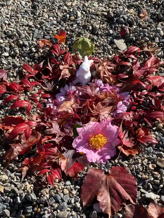 出雲大神宮(京都府)