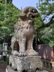 美保神社の狛犬