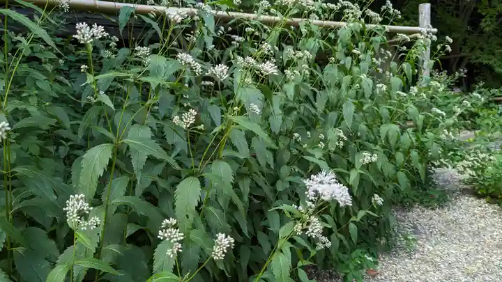 梨木神社(京都府)
