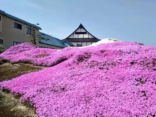 雨竜　専福寺(北海道)
