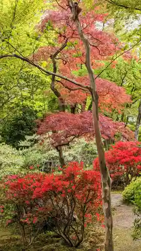 華厳寺（鈴虫寺）(京都府)