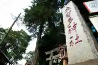 麻賀多神社(千葉県)