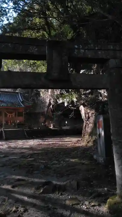 八女津媛神社の鳥居