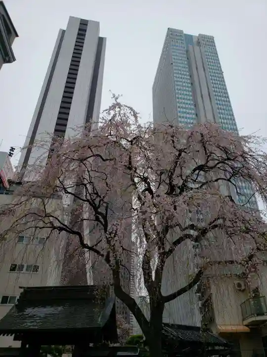 常圓寺(東京都)