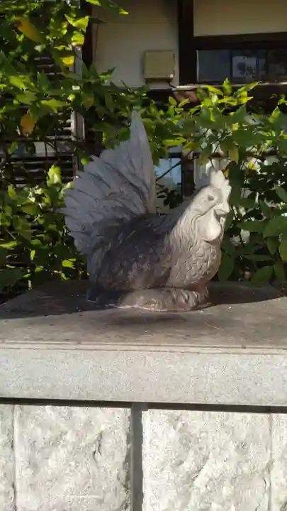 高知大神宮(高知県)