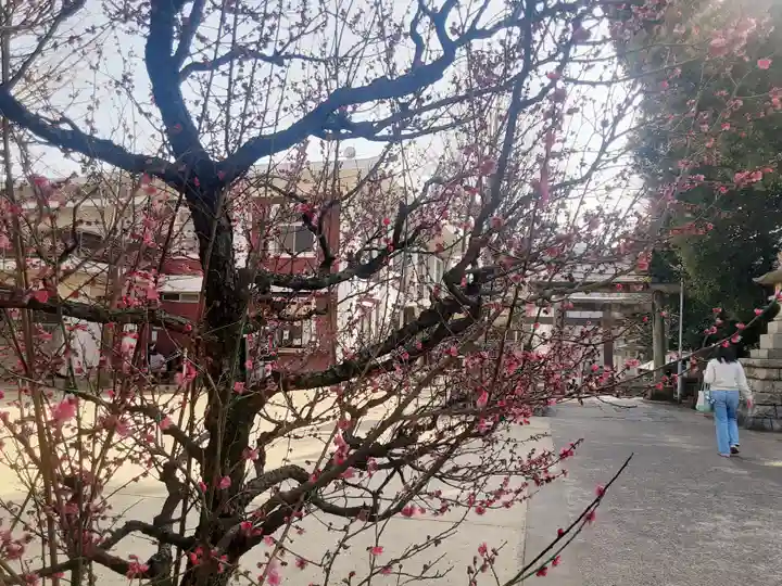 諏訪神社(東京都)