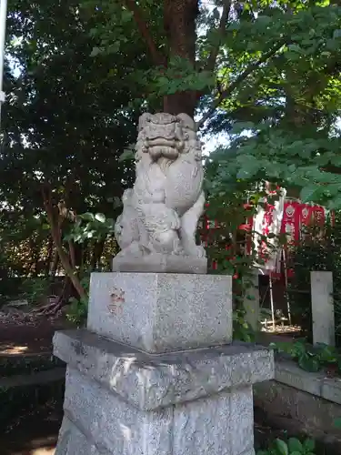 馬場氷川神社の狛犬