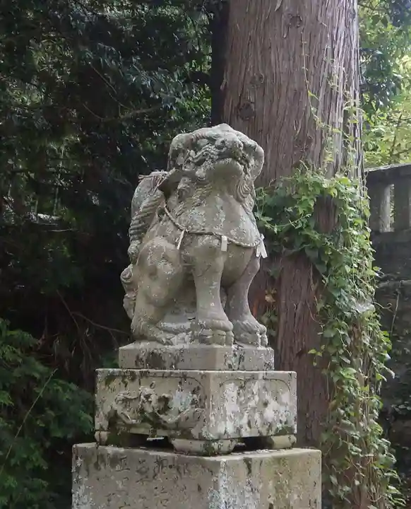 伊射奈美神社(徳島県)