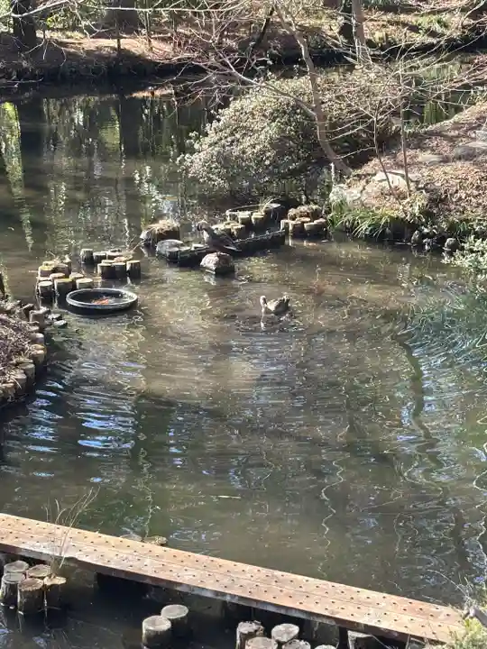 深大寺(東京都)