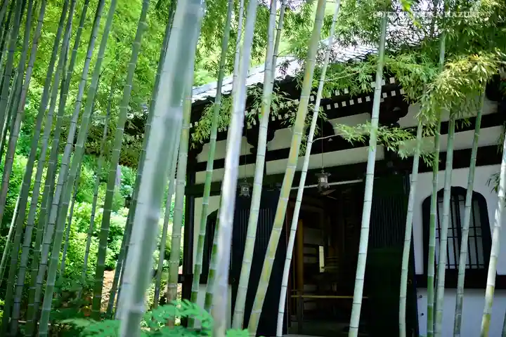 長谷寺のその他建物