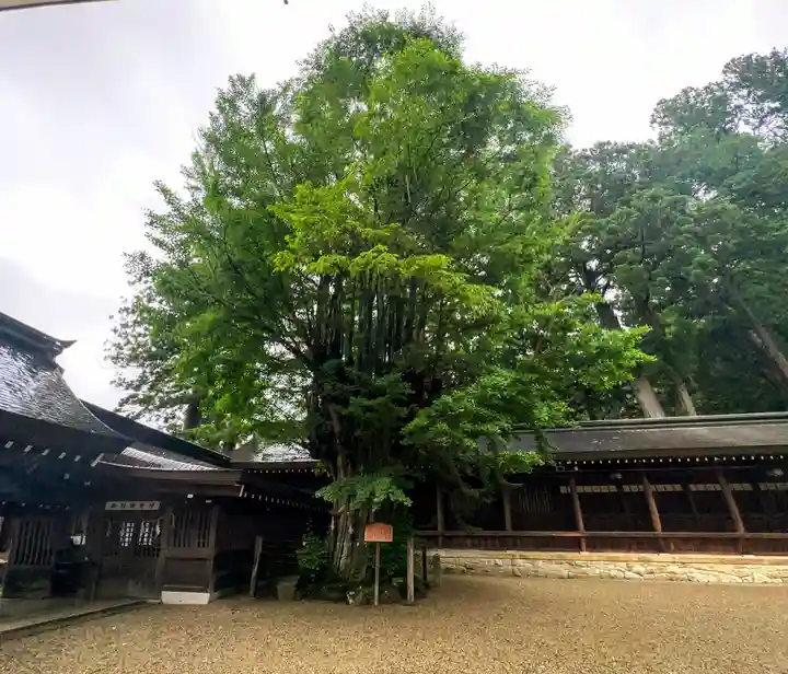 飛驒一宮水無神社(岐阜県)