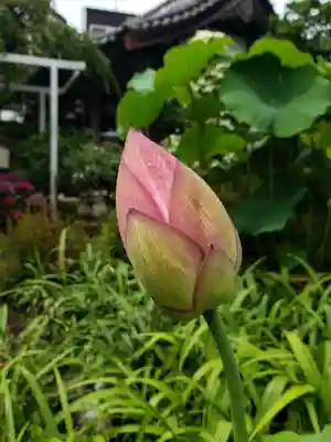 長善寺(東京都)