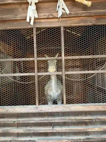 和貴宮神社(京都府)