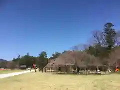 賀茂別雷神社（上賀茂神社）の自然