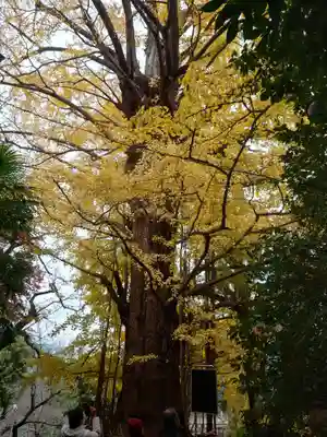王子神社(東京都)