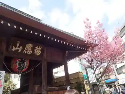 弘明寺の御朱印