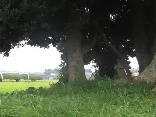 裏つくば、恋瀬川沿いの神社(茨城県)