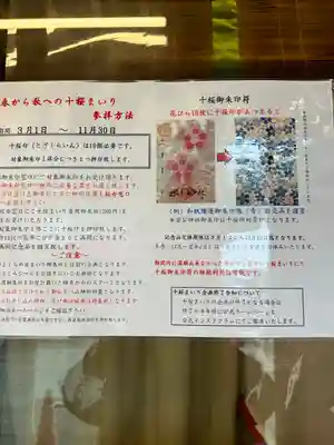 櫻木神社(千葉県)