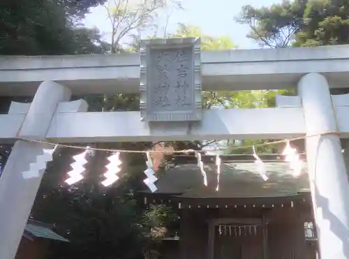 大國魂神社の鳥居