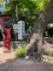 洲崎神社の自然