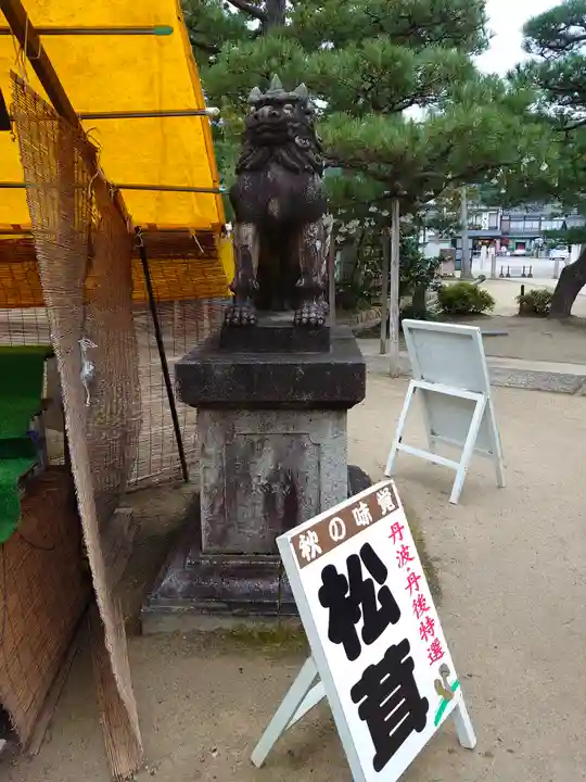 智恩寺の狛犬
