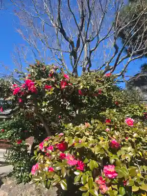東光院の{uncategorized: "未分類", other: "その他", undefined: "問題あり", building: "その他建物", grave: "お墓", sacred_gate: "鳥居", guardian: "狛犬", statue: "像", buddha: "仏像", history: "歴史", nature: "自然", garden: "庭園", animal: "動物", pagoda: "塔", temizu: "手水舎", mountain_gate: "山門・神門", sanctuary: "本殿・本堂", subordinate: "末社・摂社", art: "芸術", scenery: "景色", jizo: "地蔵", ema: "絵馬", goshuin: "御朱印", omikuji: "おみくじ", items: "授与品その他", amulet: "お守り", goshuincho: "御朱印帳", eats: "食事", festival: "お祭り", votive_dance: "神楽", shichigosan: "七五三参", wedding: "結婚式", experience: "体験その他", initially: "初詣", around: "周辺", anti_infection: "感染症対策"}