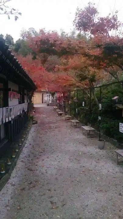 三井寺(平等寺)の自然