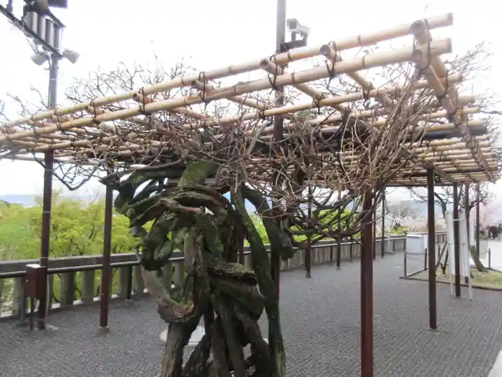 清水寺(京都府)