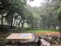 宇佐宮弥勒寺跡の自然