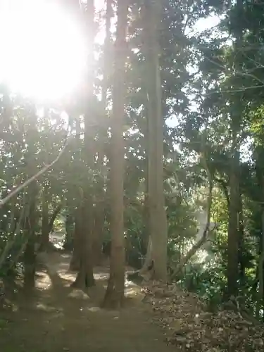 葛原岡神社の自然