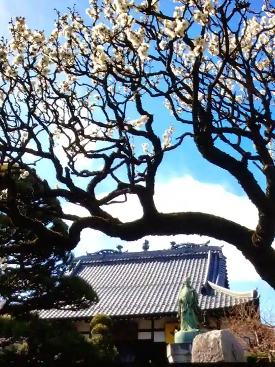 長善寺(東京都)