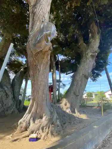 道路衢神(茨城県)