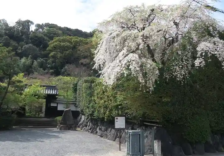善法律寺(京都府)