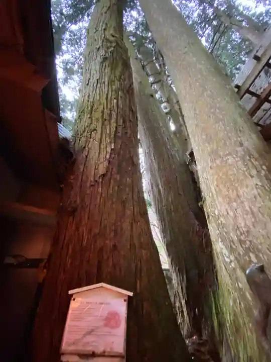 清高稲荷社(和歌山県)