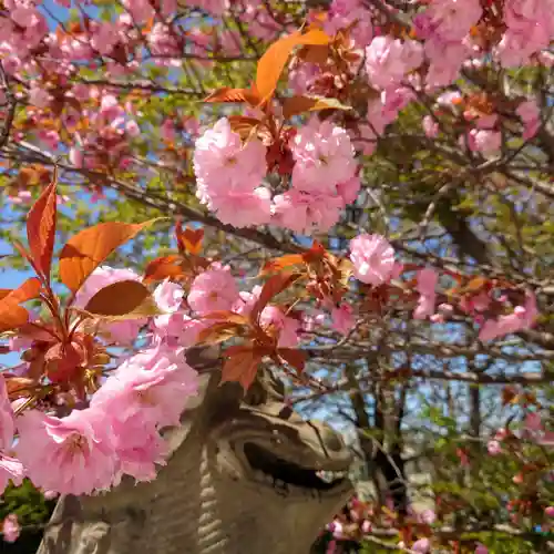 住吉神社の自然