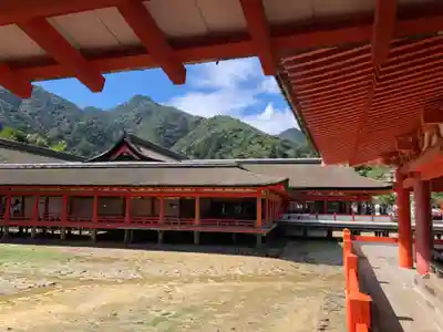 厳島神社の本殿・本堂