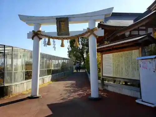 岩国白蛇神社(山口県)